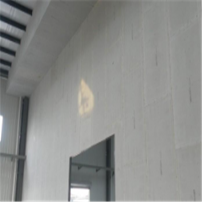 大通宁波ALC板|EPS加气板隔墙与混凝土整浇联接的实验研讨